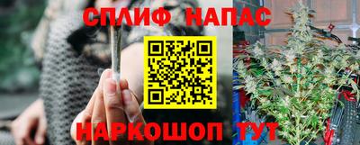 прущие крисы Когалым