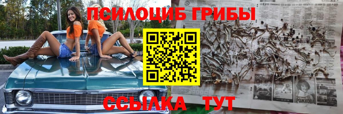 Галлюциногенные грибы MAGIC MUSHROOMS Астрахань