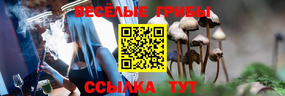 Псилоцибиновые грибы Psilocybine cubensis  Псилоцибиновые грибы прущие грибы  Астрахань  Вход с VPN 
